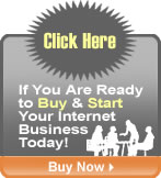 Buy StoresOnline Pro
