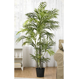 Artificial Arecea Palm Tree