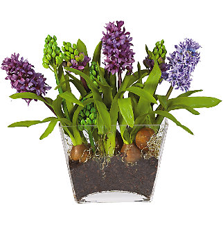 Silk Purple & Blue Hyacinth in Glass Planter