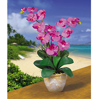 Silk Plants, Silk Flowers, Silk Trees