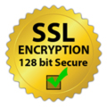 SSL_Security_logo_small.jpg