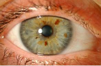 Ergonomics Eye Problems