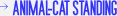 ANIMAL-CAT STANDING