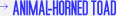 ANIMAL-HORNED TOAD