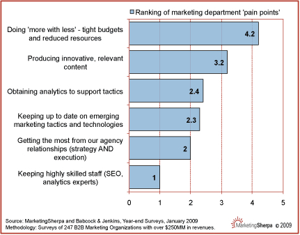 Insight #4. “Doing more with less” tops marketers’ list of pains