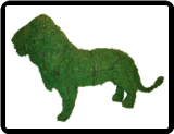 Lion Animal Topiary Frame (Mossed) 25x37x12