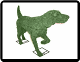 Pointer Animal Topiary Frame Mossed 32" x 50" x 13"