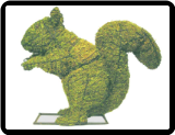 Squirrel Animal Topiary Frame