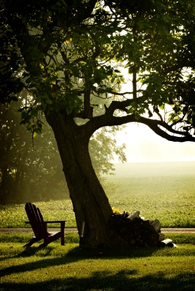 Farm Sunrise 1