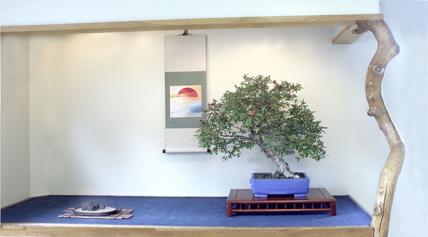 Summer display of Honeysuckle in studio alcove