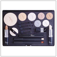 Shimmers Make Up Color Palette