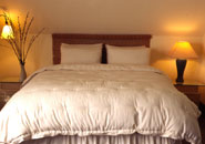 Pillow, Crib Bedding, Comforter & Mattress Pads Organic Cotton