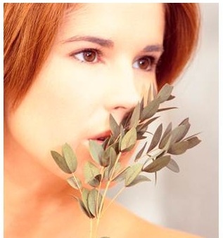 Nature's Inventory Organic Essential Natural Wellness Oils
