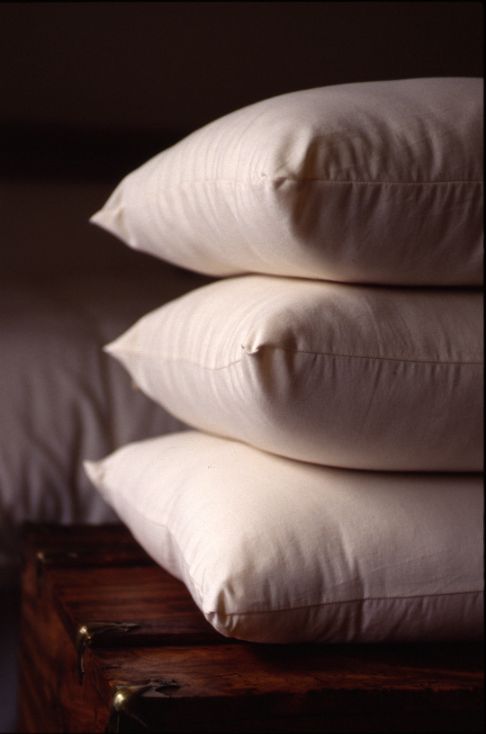 Natural & Organic Cotton Pillows & Bedding