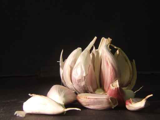 garlic with black background