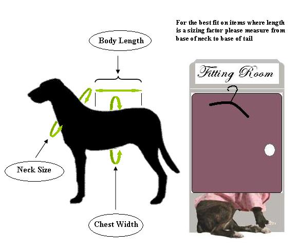 picture of how to measure dog