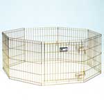 Gold Zinc Exercise Pens