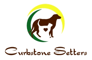 Curbstone Setters logo