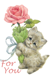 Kitten holding a pink rose Kitten holding a pink rose
