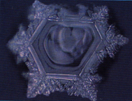 water exposed to a cell phone after exposure to love and gratitude vibration
