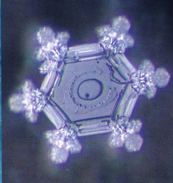 water exposed to a microwave after being exposed to love and gratitude vibration