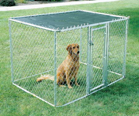 Midwest Chain Link K9 Kennel and Dog