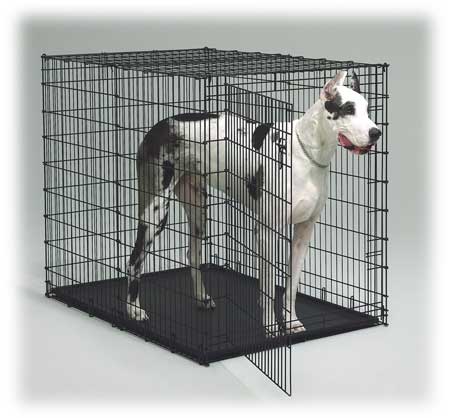 Midwest Giant Breed Dog Crate 180px