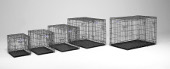 Select Dog Crate Array of Five Models