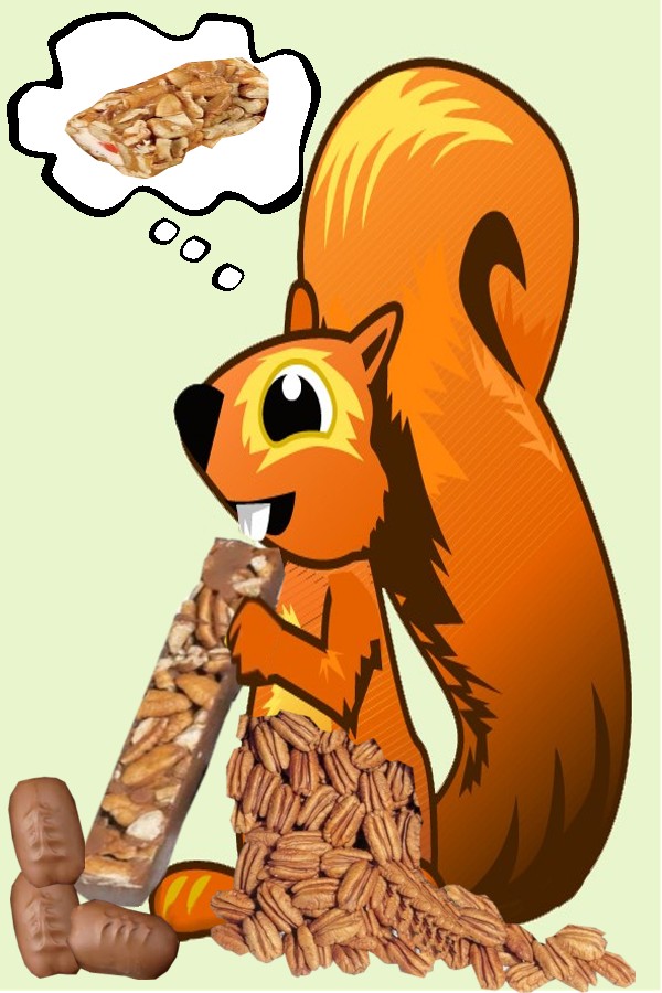squirrel dreaming of nuts and candy