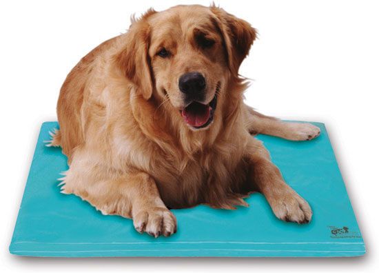 Dog Bed