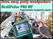 Woodpecker Pro Repeller