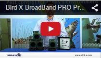 Video Broadband Pro