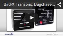 Video Transonic Bugchaser