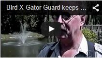 Video Gator Guard