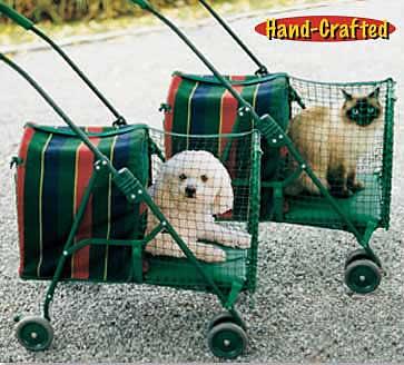 Check out the available Car Seat Options!