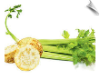 Celery Herb Total CO2 | Alabama Essential Oils